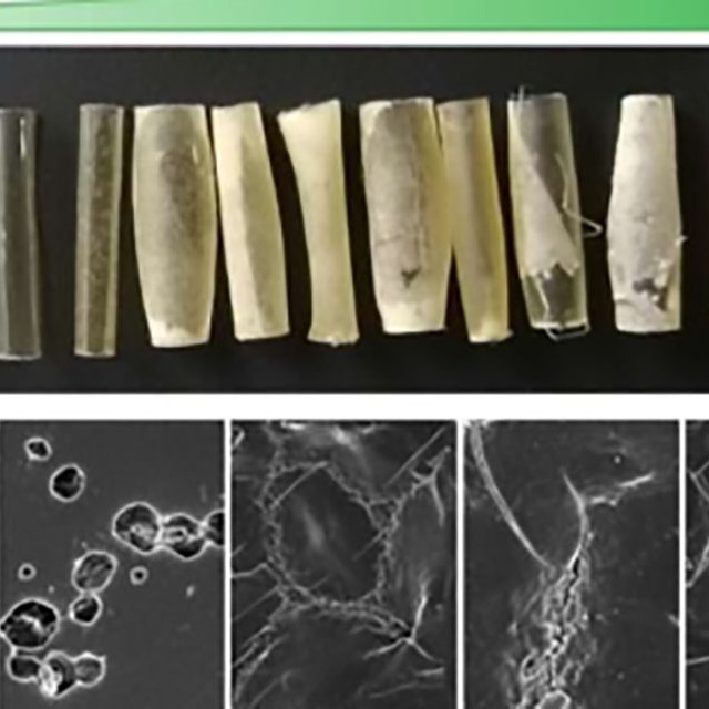 什么是降解塑料？