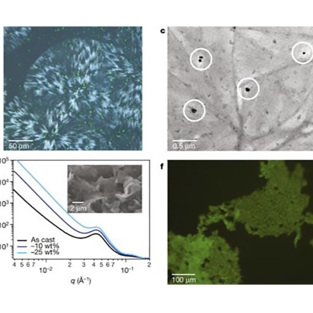 什么是可堆肥生物降解塑料？